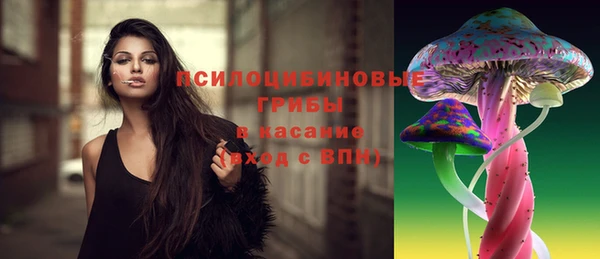 МДПВ Магадан