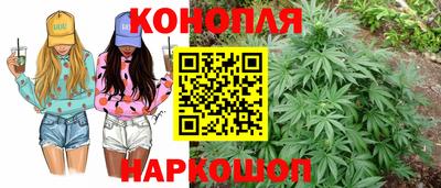спиды Гусев