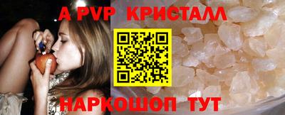 спиды Гусев
