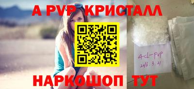 спиды Гусев