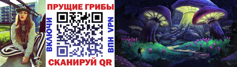 Галлюциногенные грибы мицелий Черняховск