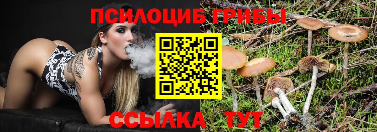Псилоцибиновые грибы MAGIC MUSHROOMS Черняховск