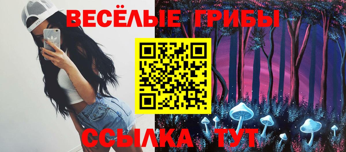 Черняховск  Псилоцибиновые грибы Cubensis  цена наркотик  Вход с VPN  Псилоцибиновые грибы MAGIC MUSHROOMS 