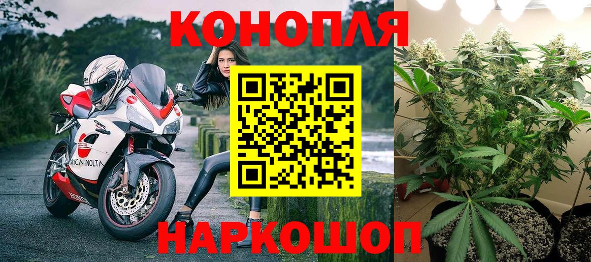 Канабис SATIVA & INDICA Черняховск